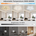 Anoak Ceiling Light,Dimmable Modern LED Ceiling Light with Remote, 23.6" 5-Petal Flower Light Fixtures for Living Room, Dining Room, Bedroom, Kitchen