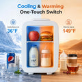 BEICHEN Mini Fridge, 4 Liter/6 Can Small Fridge for Bedroom, Car, Office, Brushed Finish, AC/DC