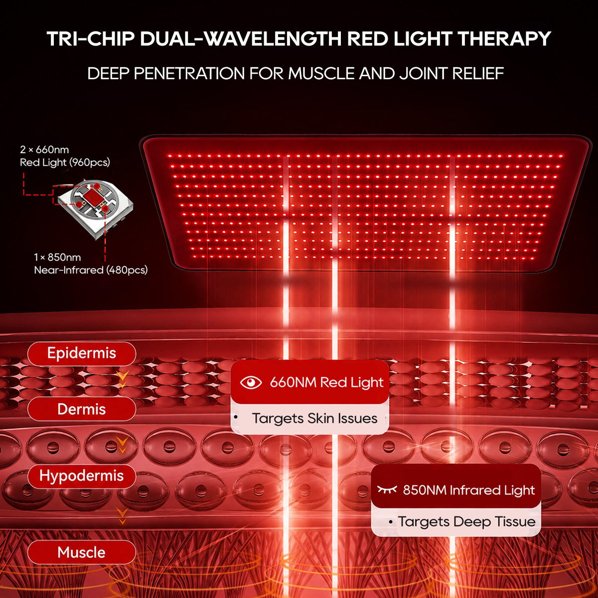 Morfone Red Light Mat for Body, 36" x 20" Red Light Pad, 660nm & 850nm