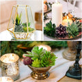 Anoak Artificial Succulent Plants - 16 Pcs Set Faux Succulents Unpotted Fake Succulent Plants, Premium Crafting DIY Floral Decor for Home Garden Office Party (High Realistic )