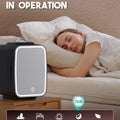 Black Skincare Fridge | Dimmable LED Mirror Mini Cooler for Vanity & Bedroom